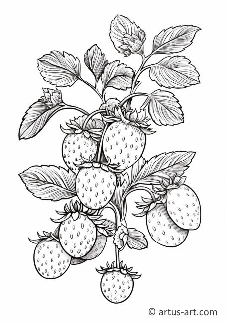 Page de coloriage de plante de fraise